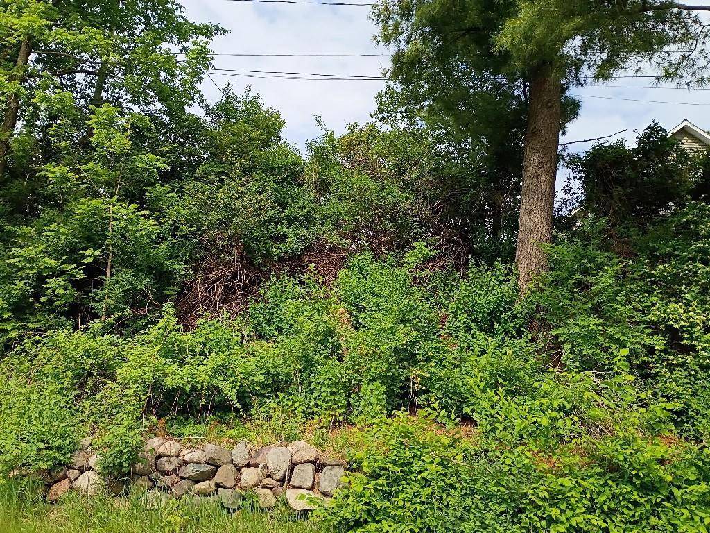 Merrill, WI 54452,203 EAST STREET