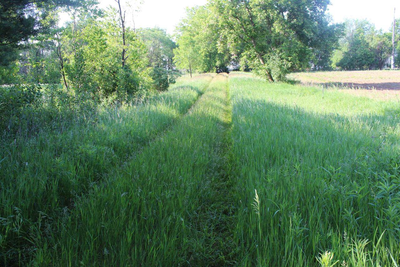 Clintonville, WI 54929,Off SAINT JOHNS CHURCH ROAD