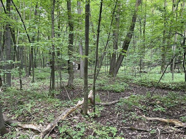 Arpin, WI 54410,15 Acres RICHFIELD DRIVE #Parcel 1500223AB