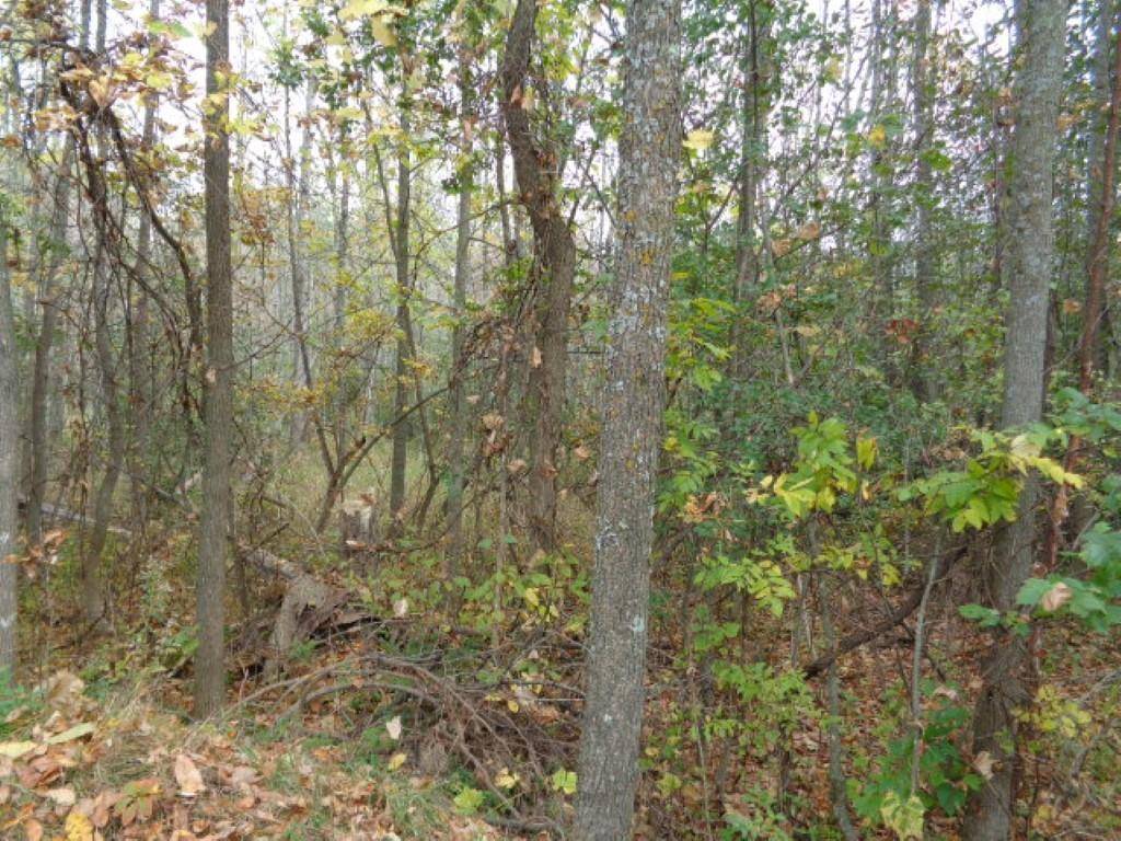 Suring, WI 54174,CTH G