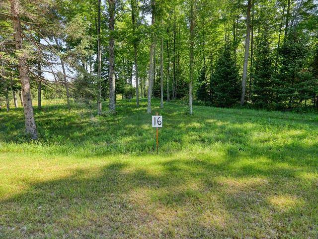 Wausaukee, WI 54177,RECTOR ROAD