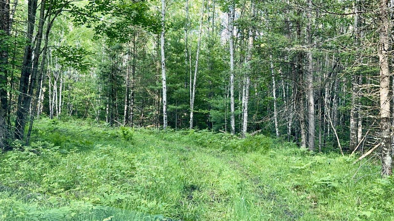 Pembine, WI 54156,FAUCETT LANE