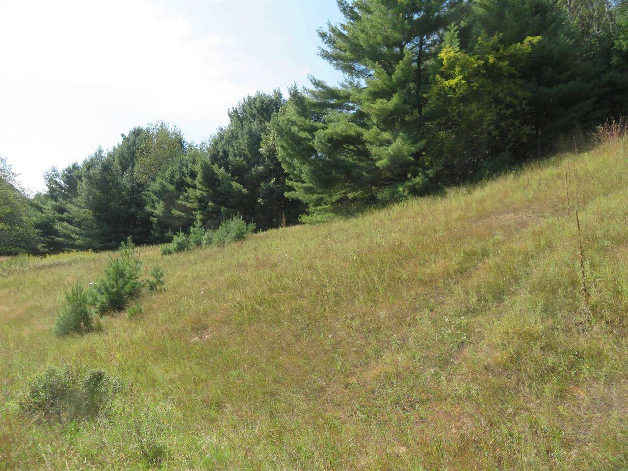 Iola, WI 54945,RULAU ROAD