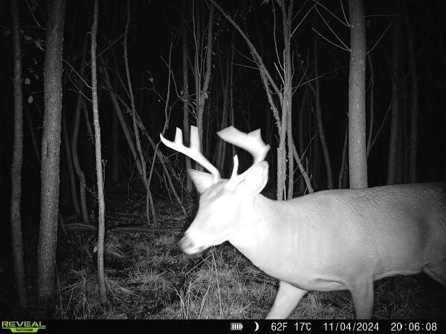 Appleton, WI 54913,HWY A