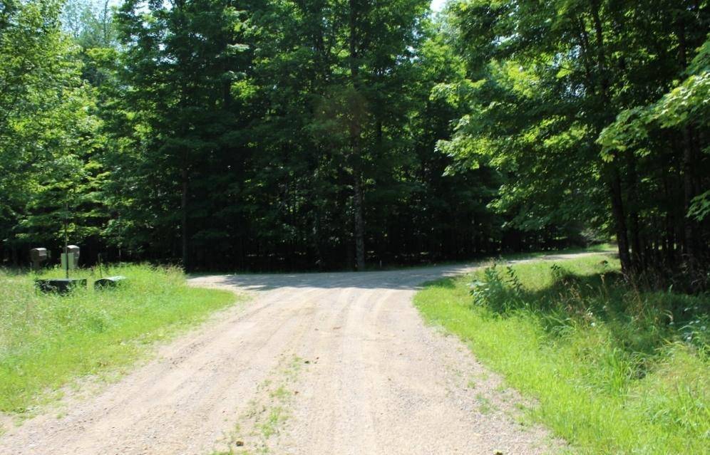 Pickerel, WI 54465,FOREST LANE