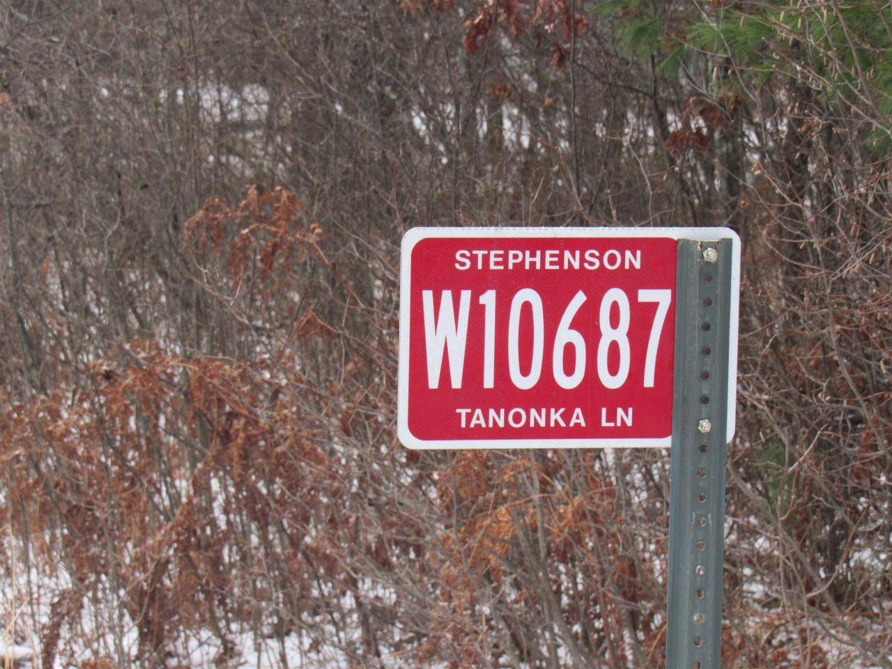 Athelstane, WI 54104,W10687 TANONKA LANE