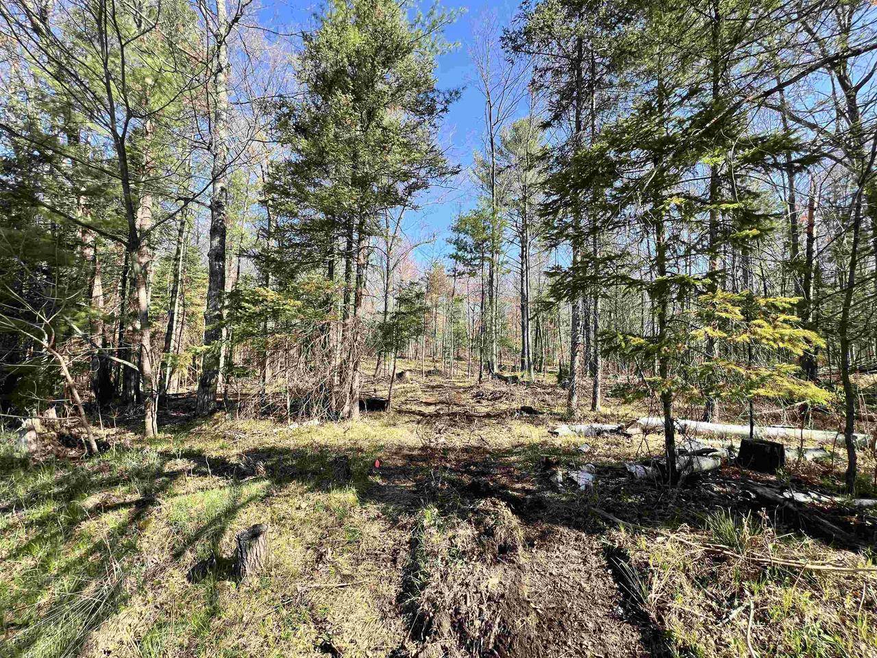 Wausaukee, WI 54177,NEJEDLO ROAD