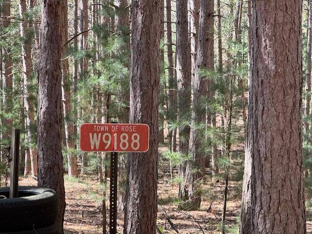 Wautoma, WI 54982,W9188 OLAF COURT