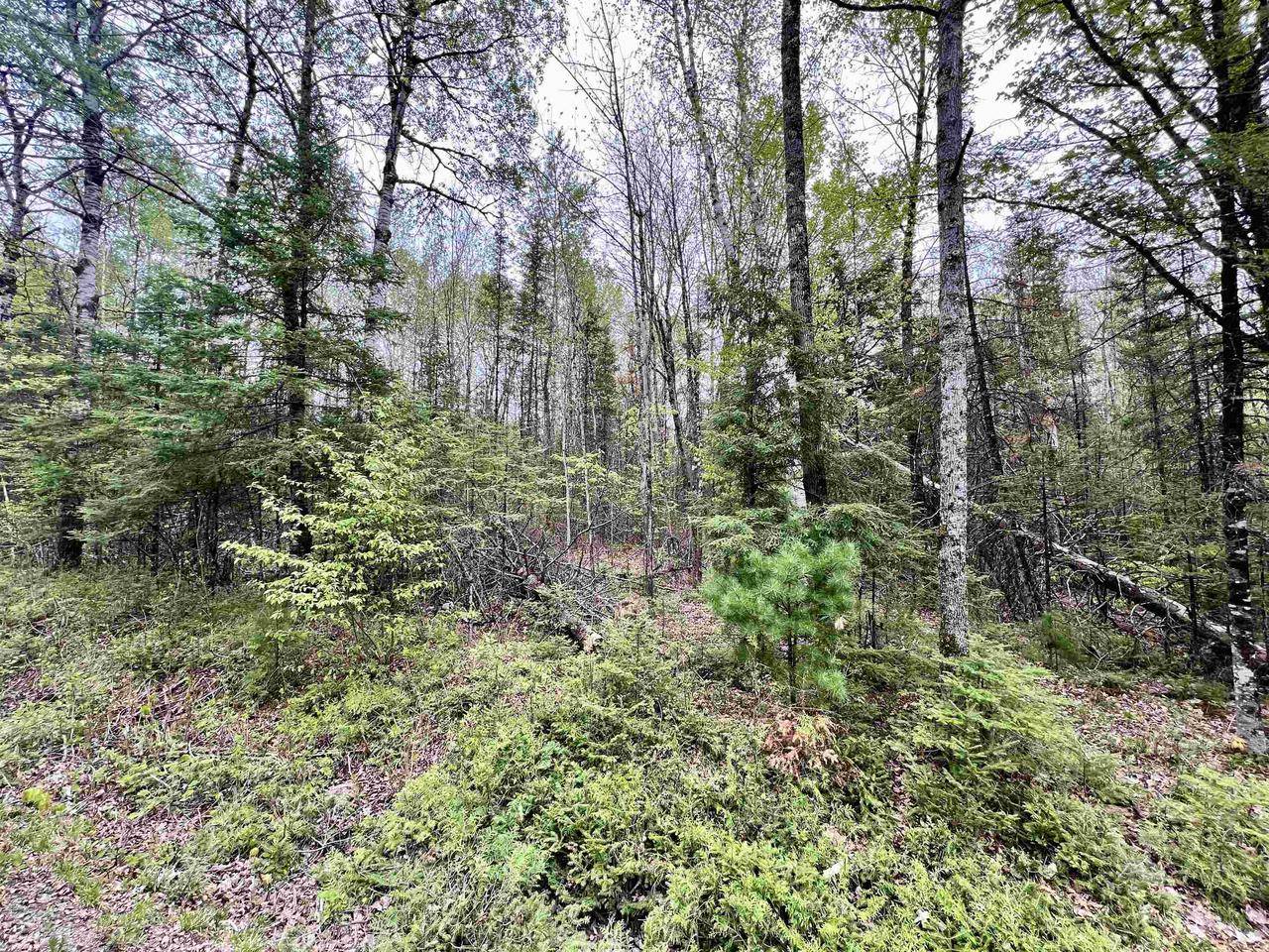 Amberg, WI 54102,BERGESON LANE