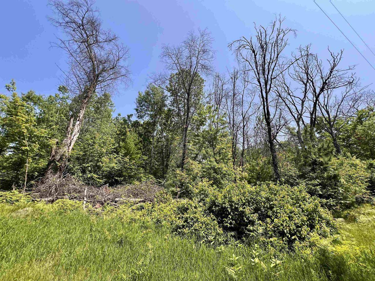 Wausaukee, WI 54157,KAFKA ROAD