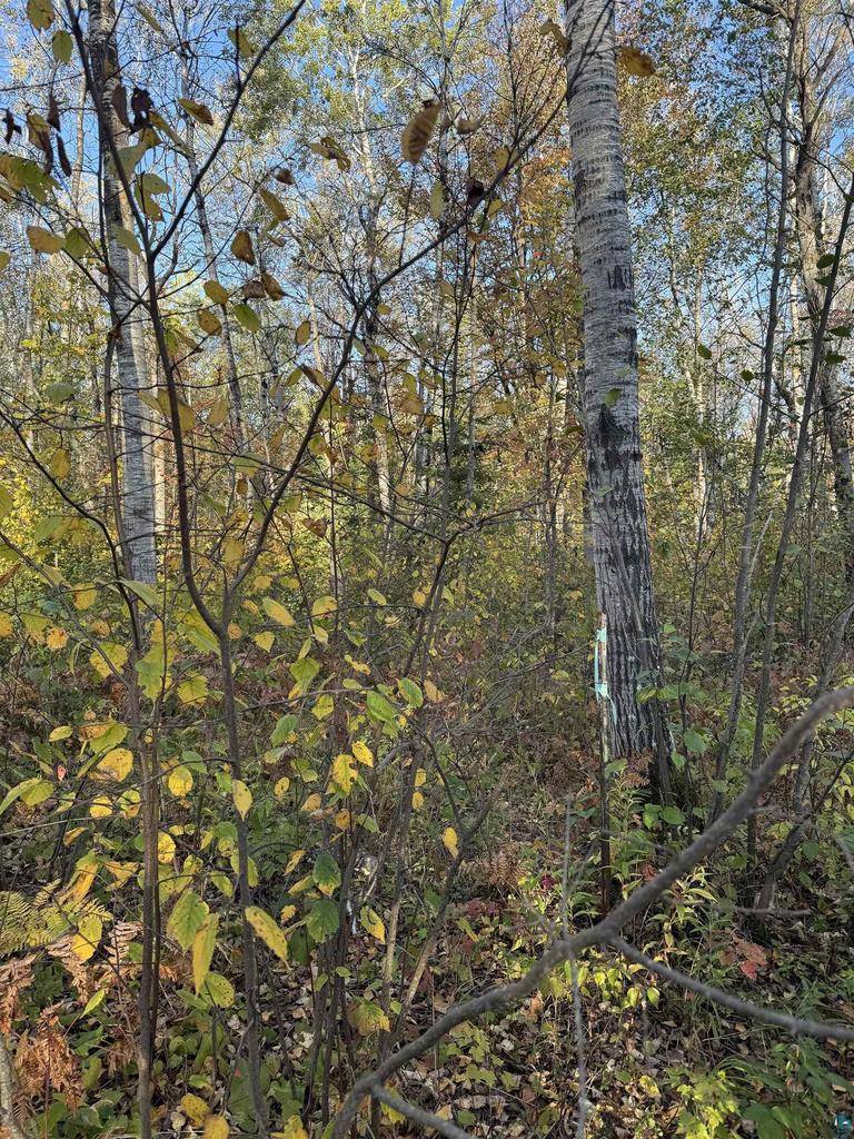 South Range, WI 54874,Lot 4 Snooky Rd