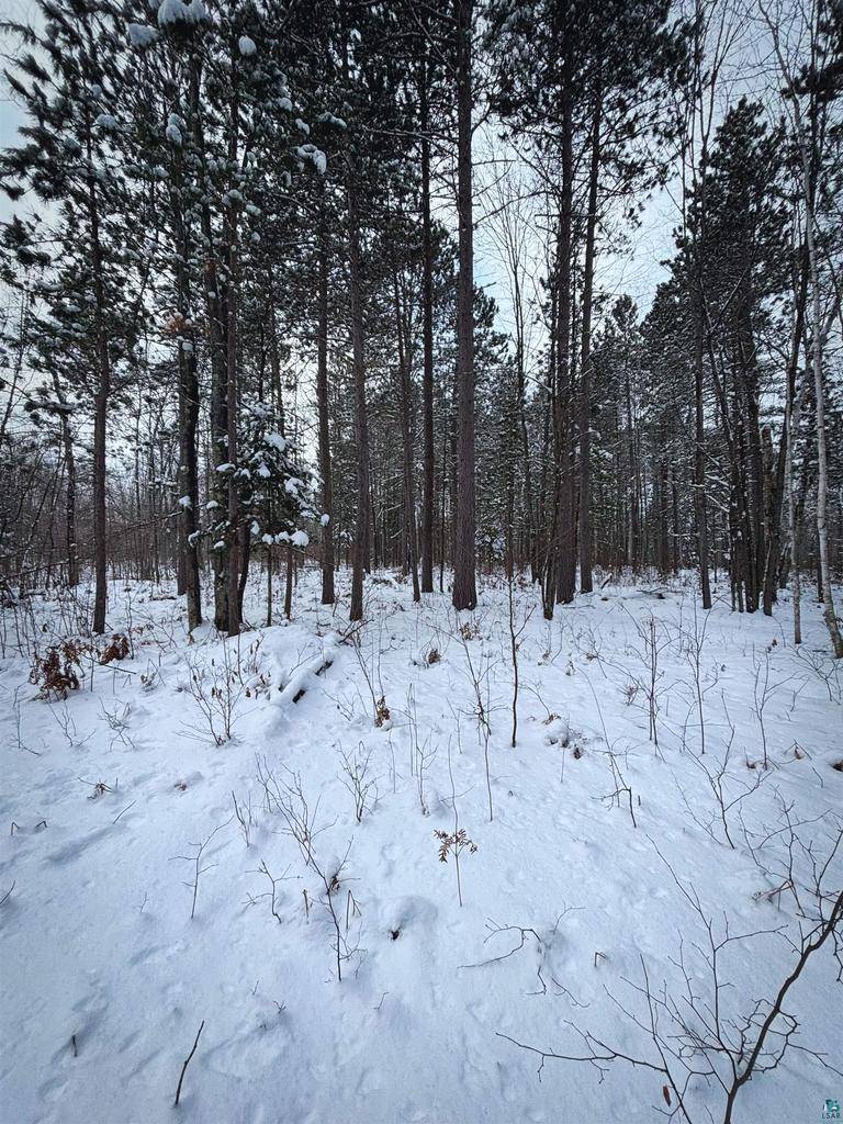 Herbster, WI 54844,000 Campbell Rd