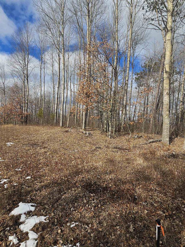 Gordon, WI 54873,LOT 4 Fire Hill Estates