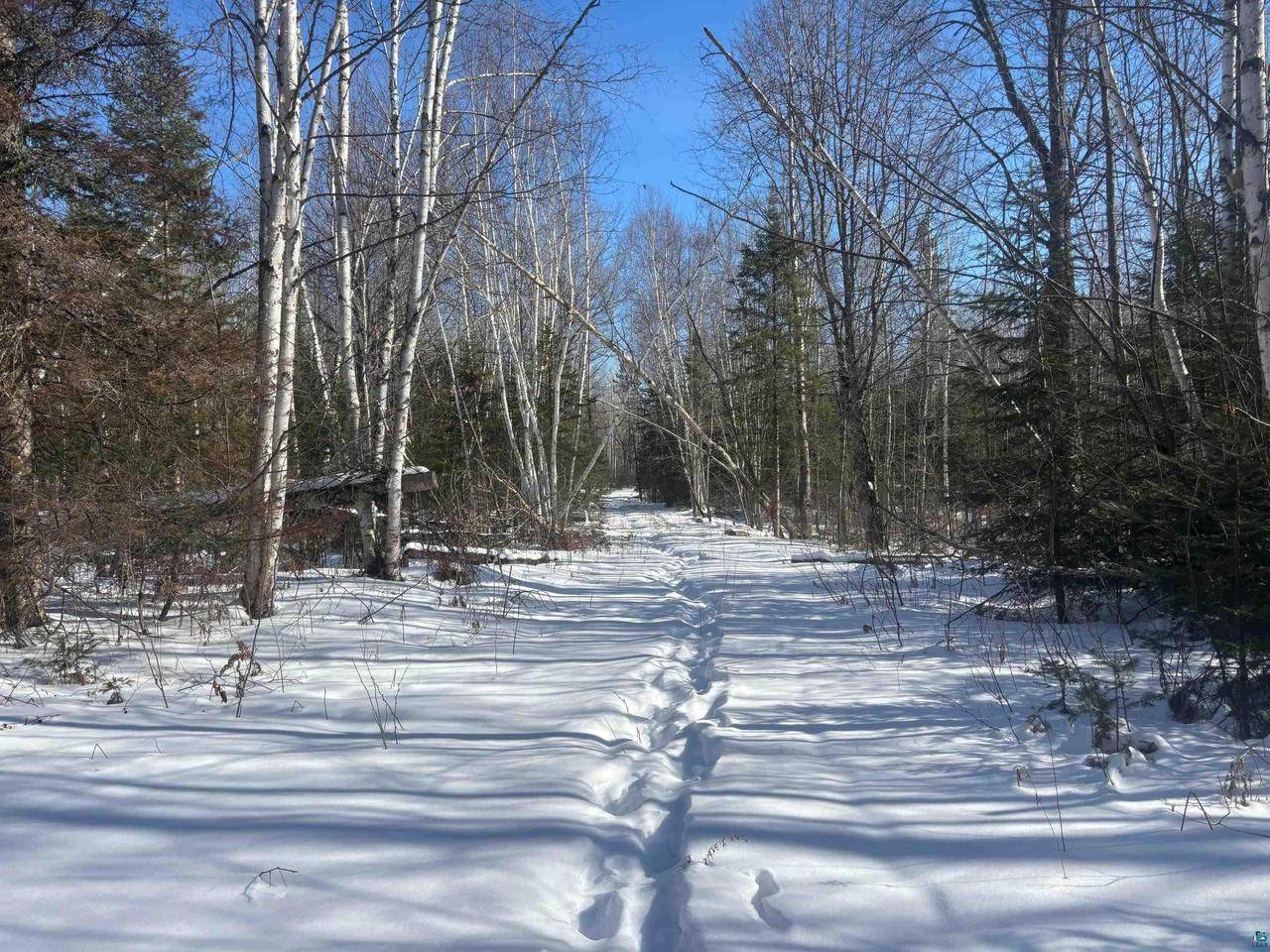 Mellen, WI 54546,72XXX Ponsegrau Rd