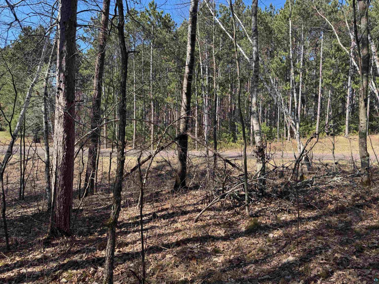 Trego, WI 54888,5 acres on Spring Lake Rd