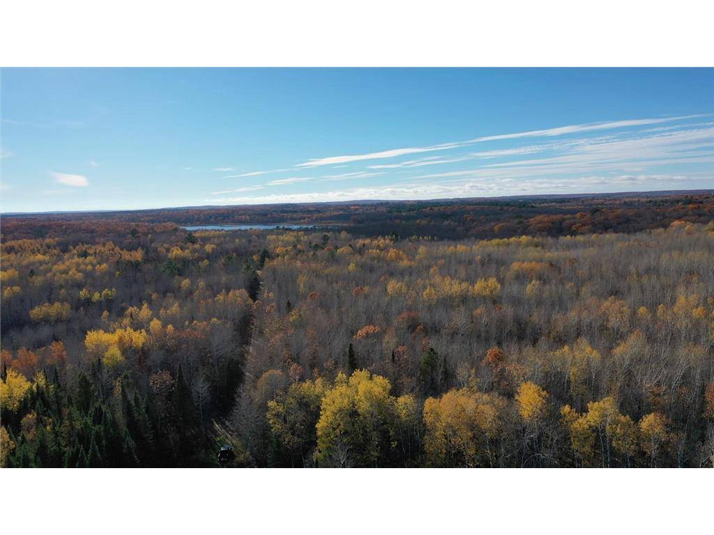 Springbrook, WI 54875,W1970 Sugar Bush Road