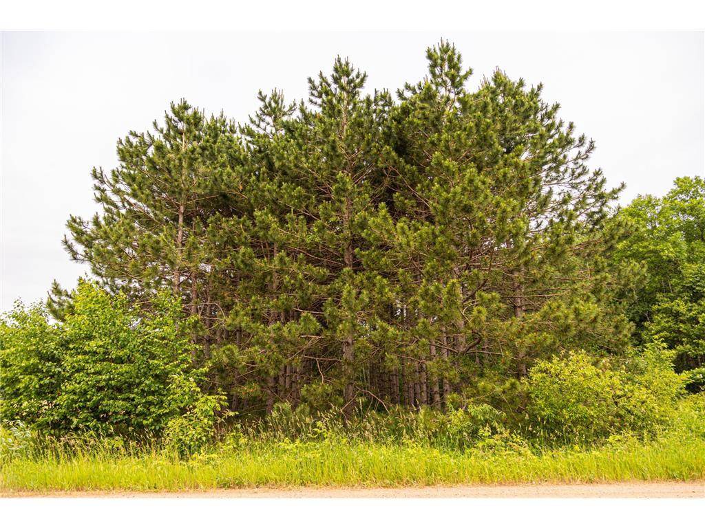 Pine City, MN 55063,Block 1, Lot 2 Mid-River Estates