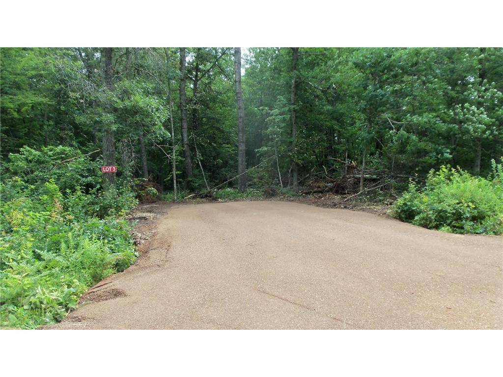 Trego, WI 54888,LOT 3 BLACKBERRY RD