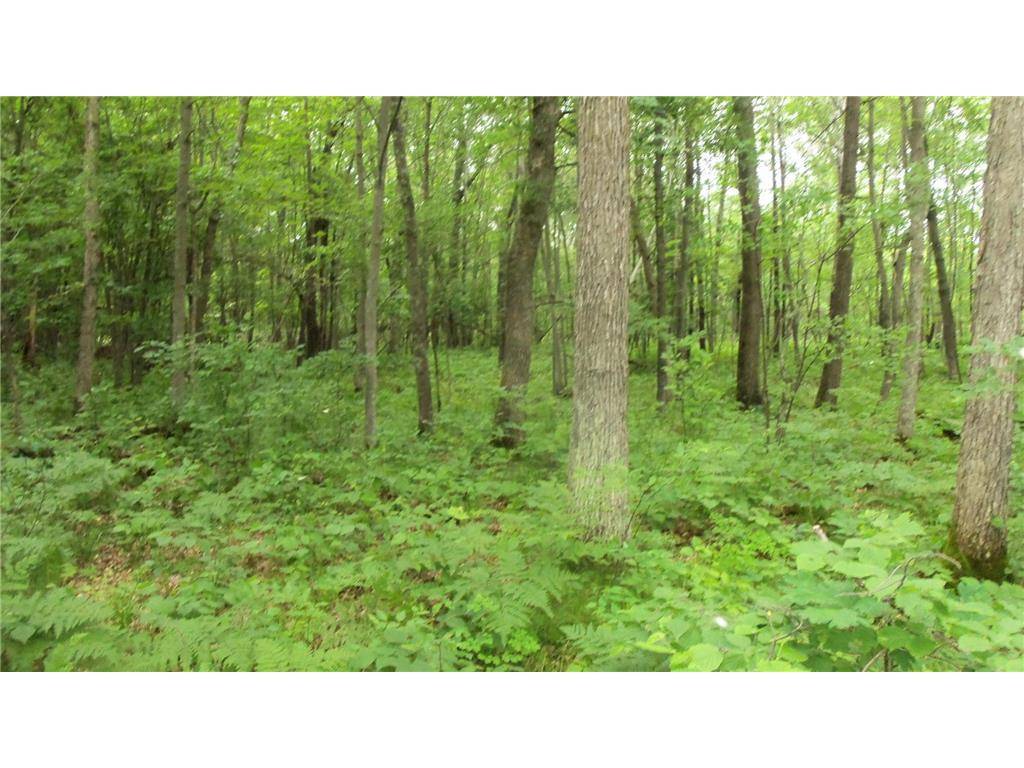 Trego, WI 54888,LOT 3 BLACKBERRY RD