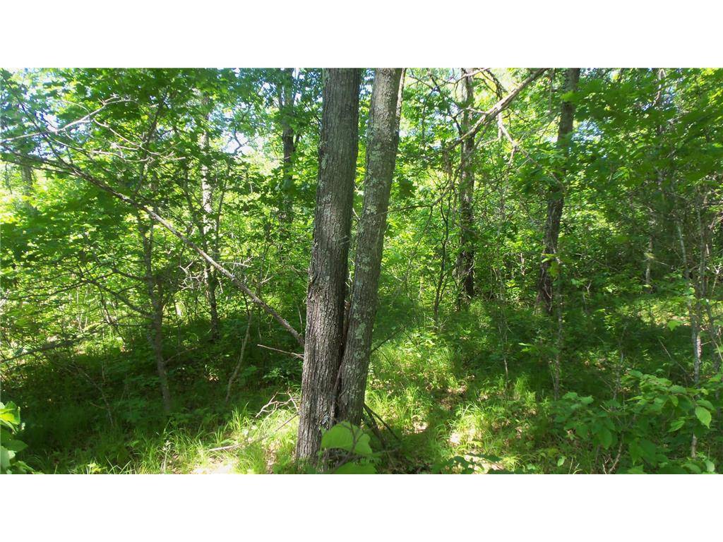 Siren, WI 54872,LOT 14 RED MAPLE LN