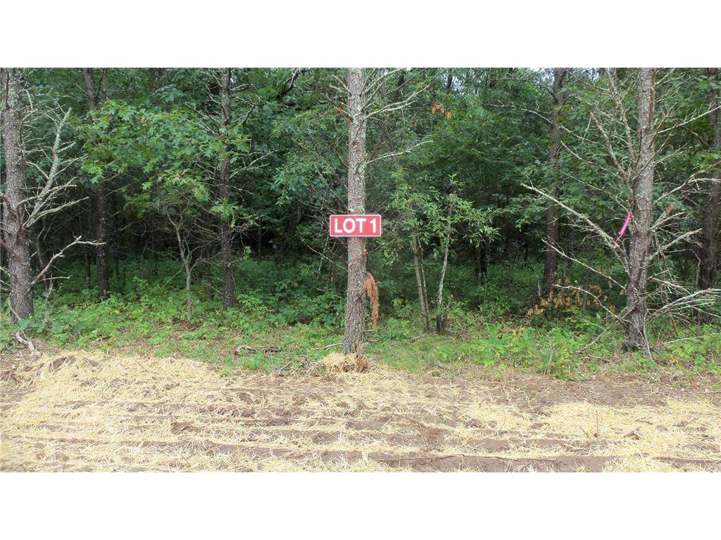 Grantsburg, WI 54840,Lot 1 Bur Oak Trl