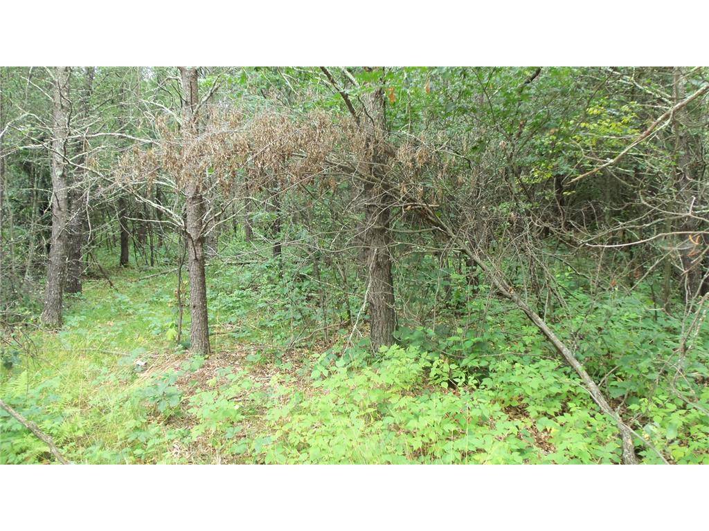 Grantsburg, WI 54840,Lot 1 Bur Oak Trl