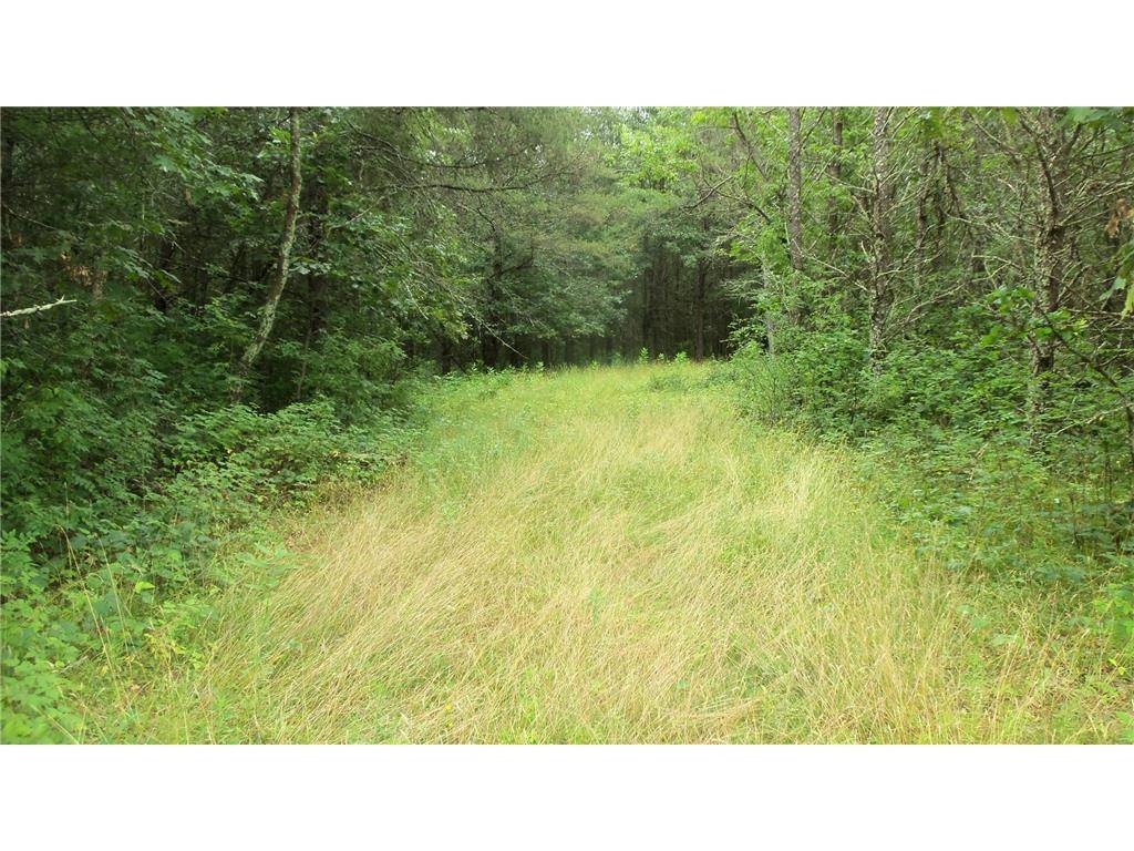 Grantsburg, WI 54840,Lot 2 Bur Oak Trl