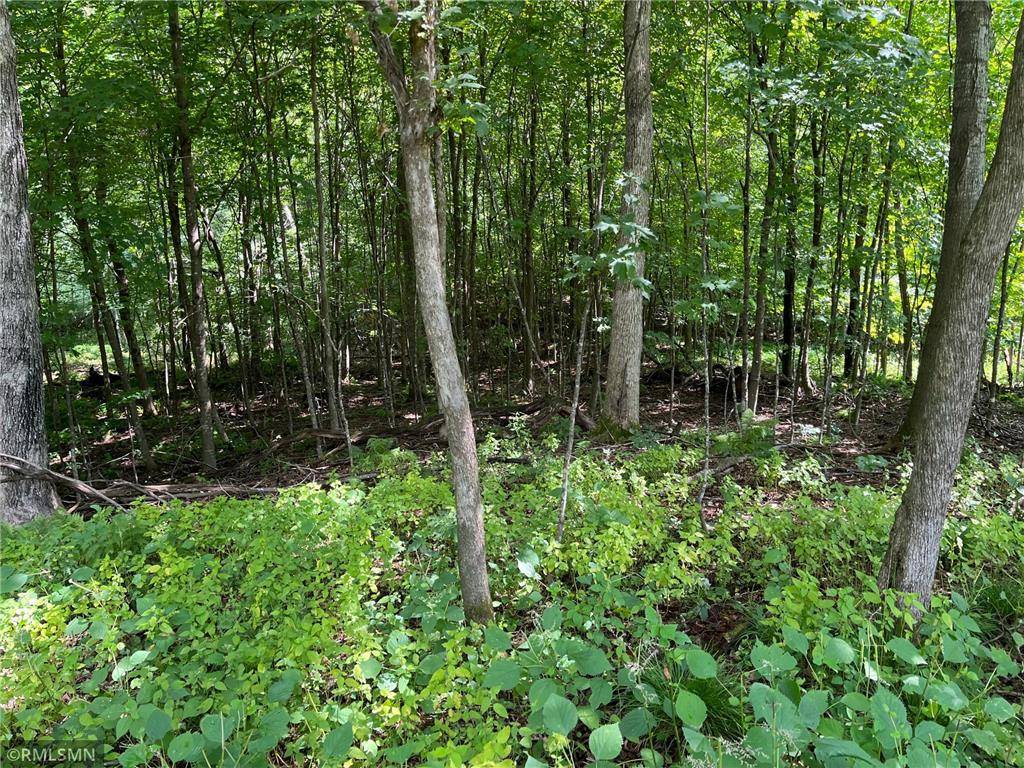 Balsam Lake, WI 54810,Lot 6 186th Street