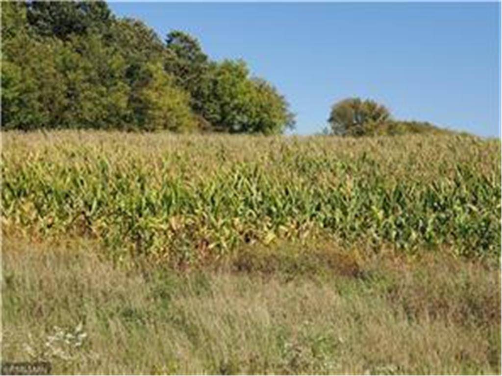 Hammond, WI 54015,1141 178th St./Dalton Farm Road, Lot 19