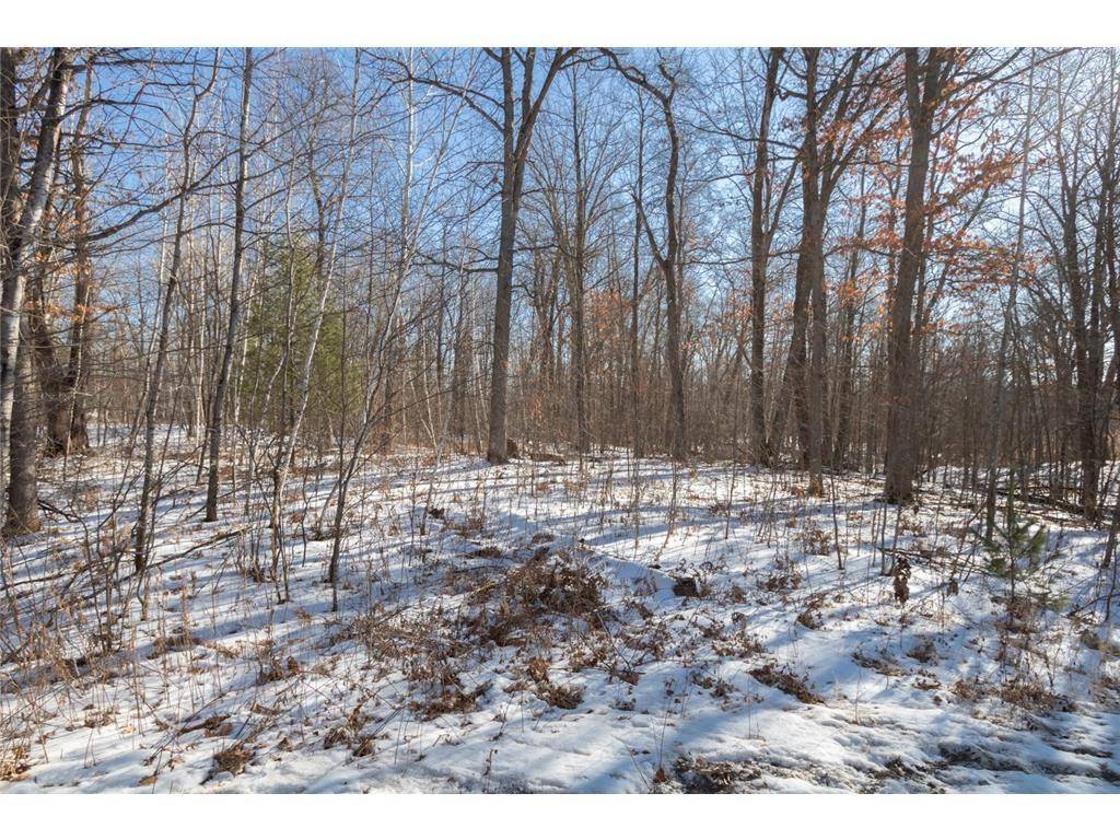 Amery, WI 54001,Lot 14 133rd Street