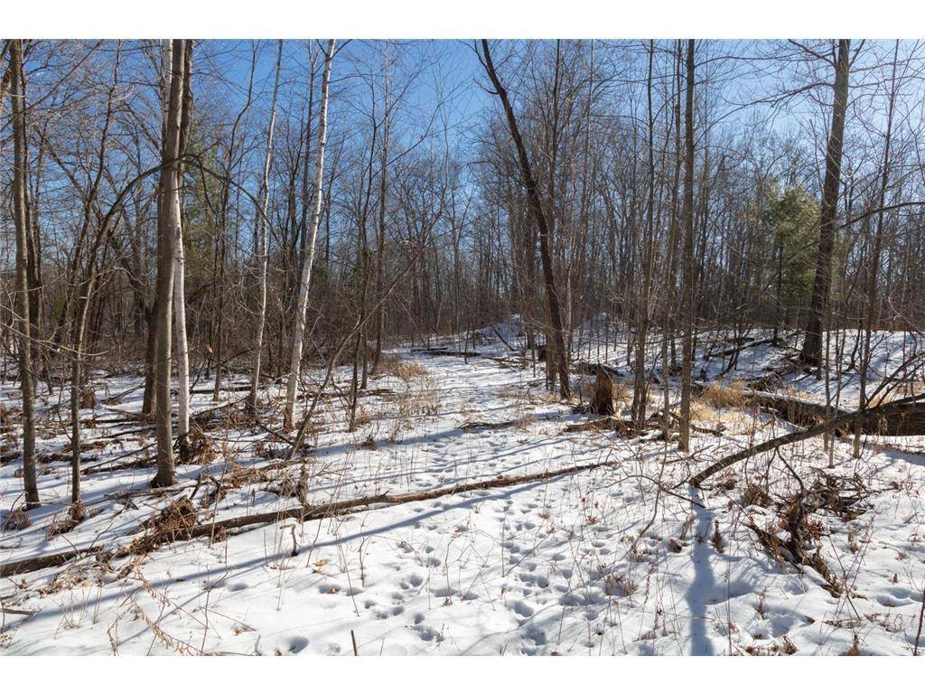 Amery, WI 54001,Lot 15 133rd Street