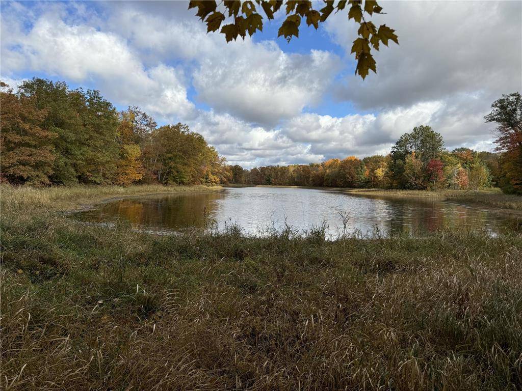 Minong, WI 54888,X N Lakeside Road