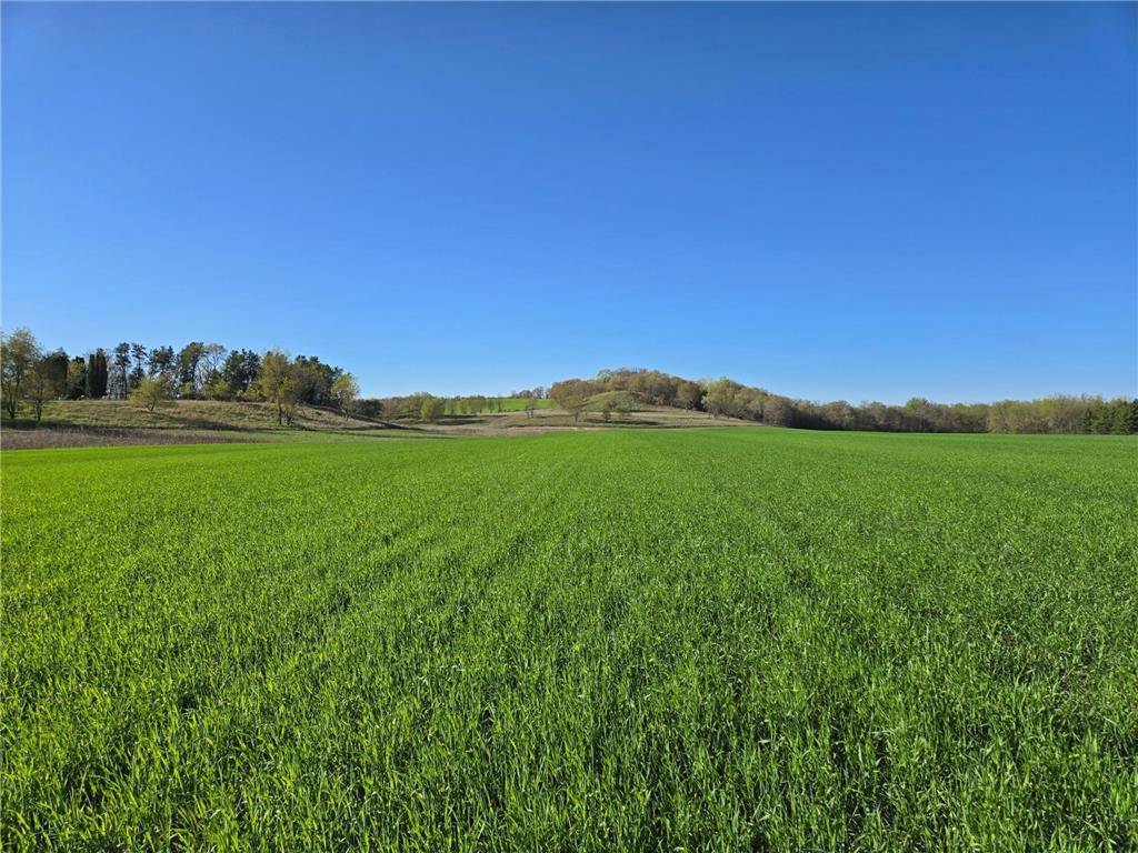 Wheeler, WI 54772,16.74 acres County Road N