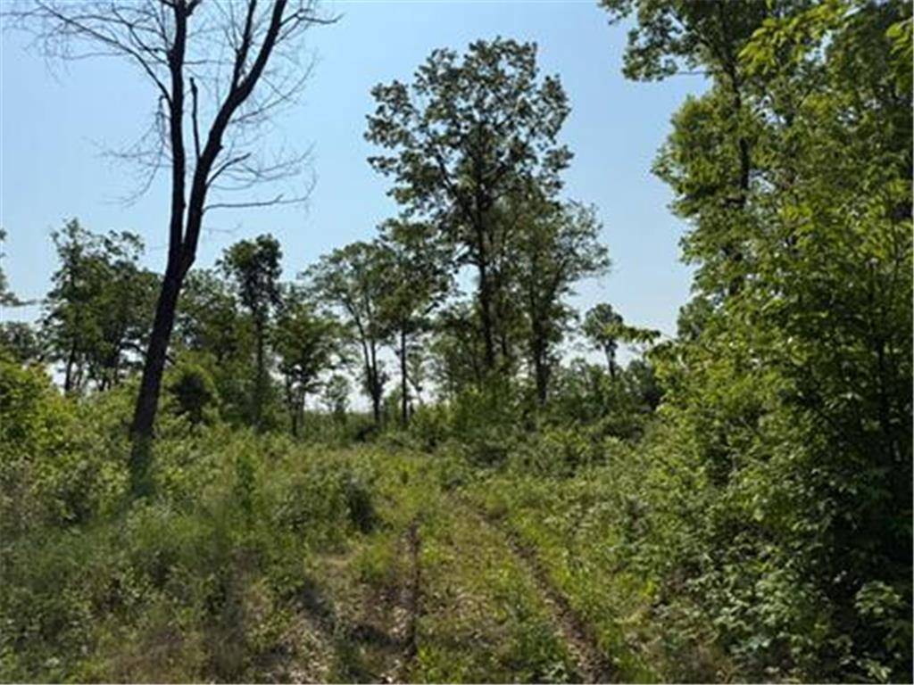 Dairyland, WI 54830,TBD County Road T