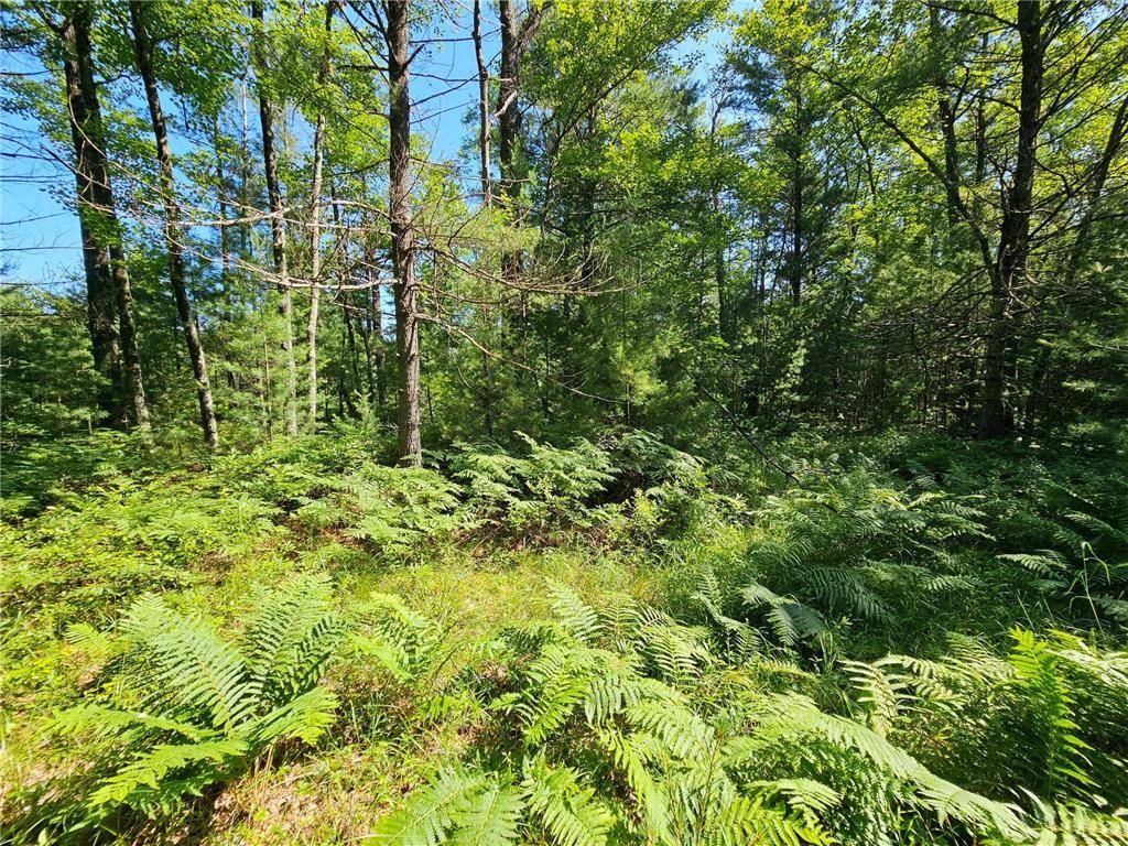 Black River Falls, WI 54615,XXX Potter Road