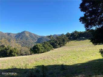 Arroyo Grande, CA 93420,0 Upper Lopez Canyon Road