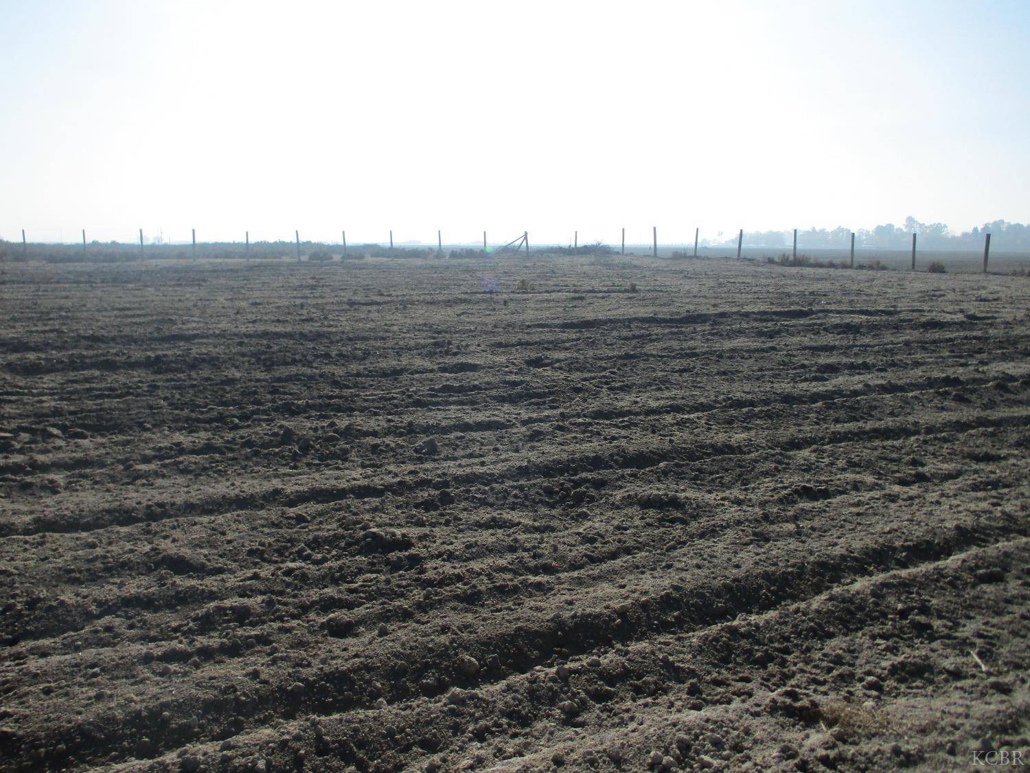 Lemoore, CA 93245,0 JACKSON