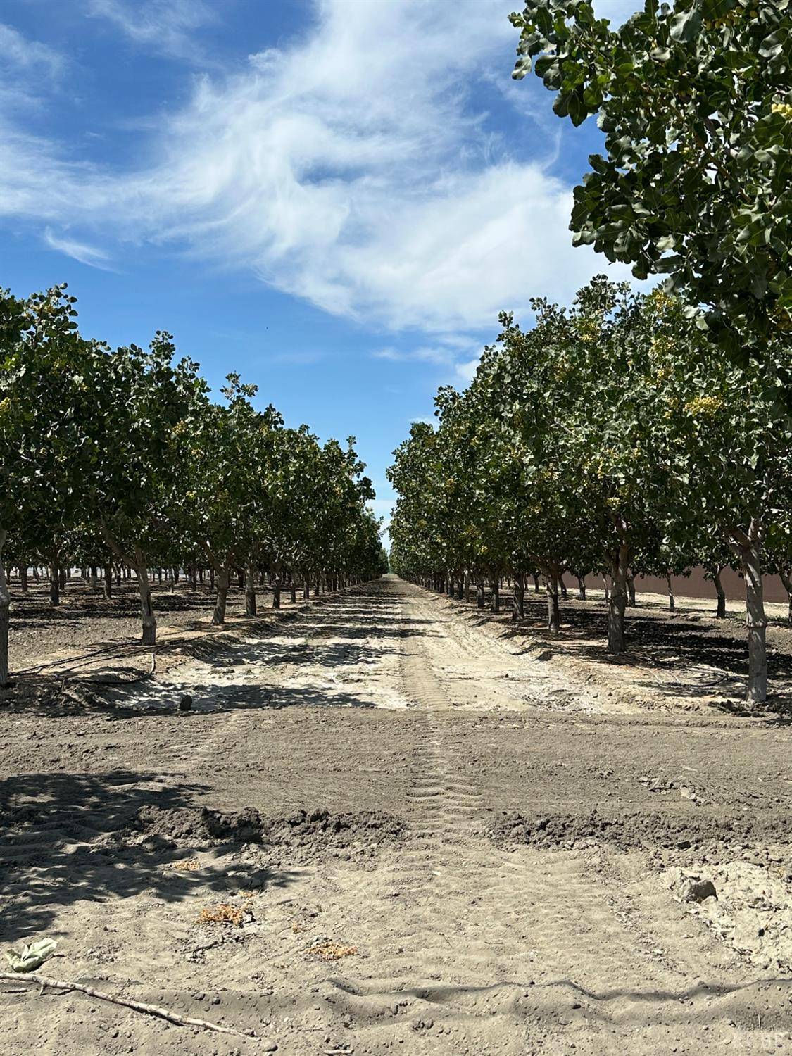 Lemoore, CA 93245,0 Lansing Ave