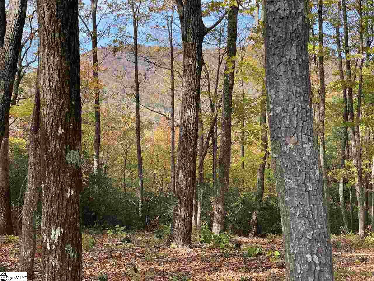 Travelers Rest, SC 29690,1526 Panther Park Trail