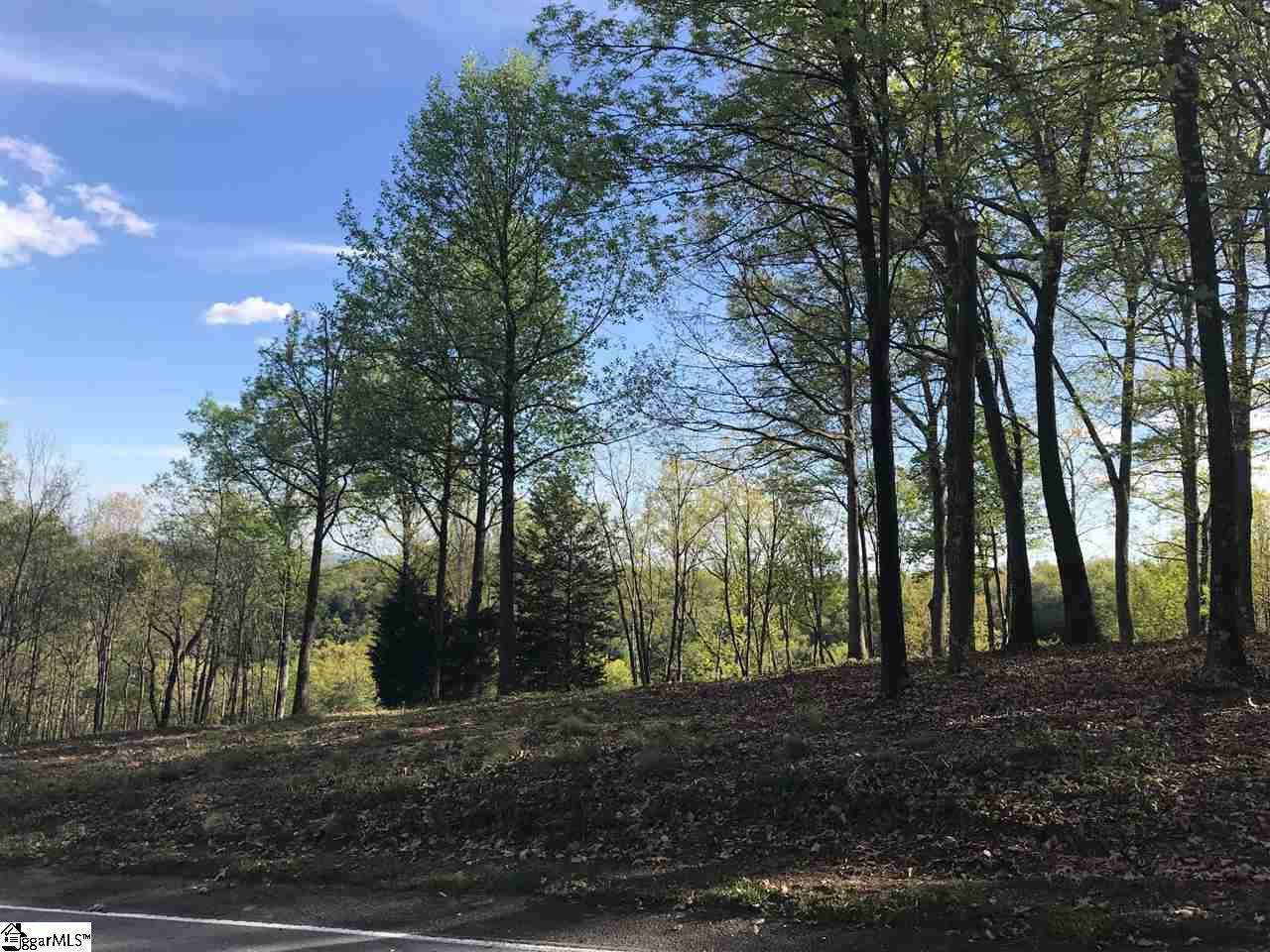 Landrum, SC 29356,108 Outlook Ledge
