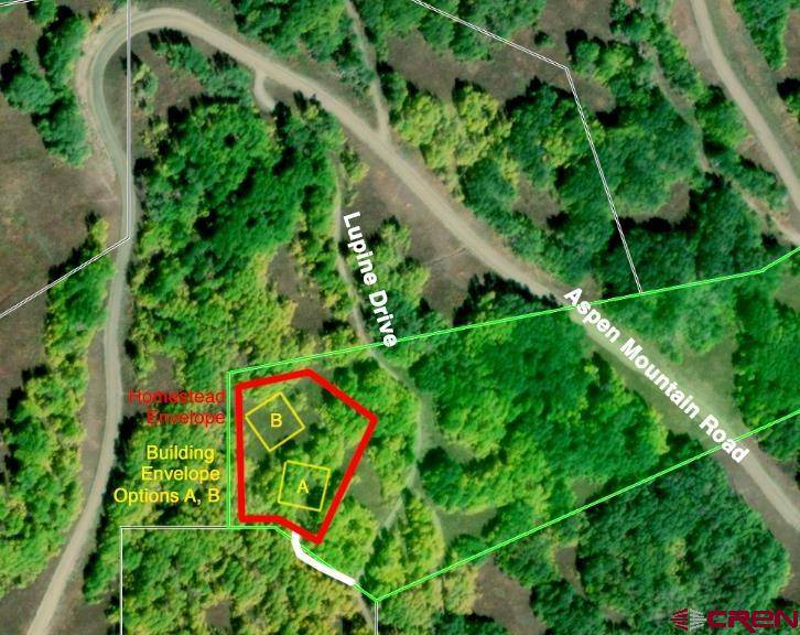 Crested Butte, CO 81224,235 Lupine Dr.
