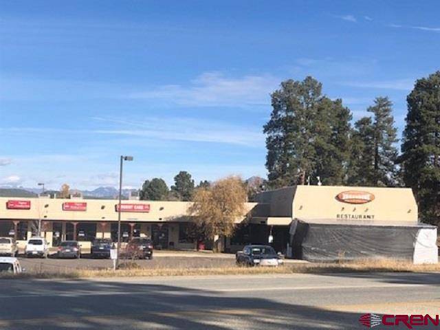 Pagosa Springs, CO 81147,27B Talisman #7 Drive #7