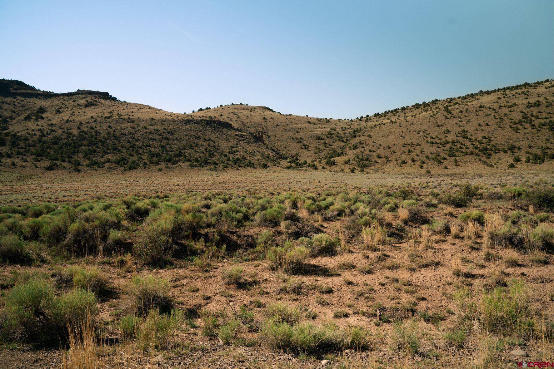 Del Norte, CO 81132,Tract 12C Pronghorn Trail