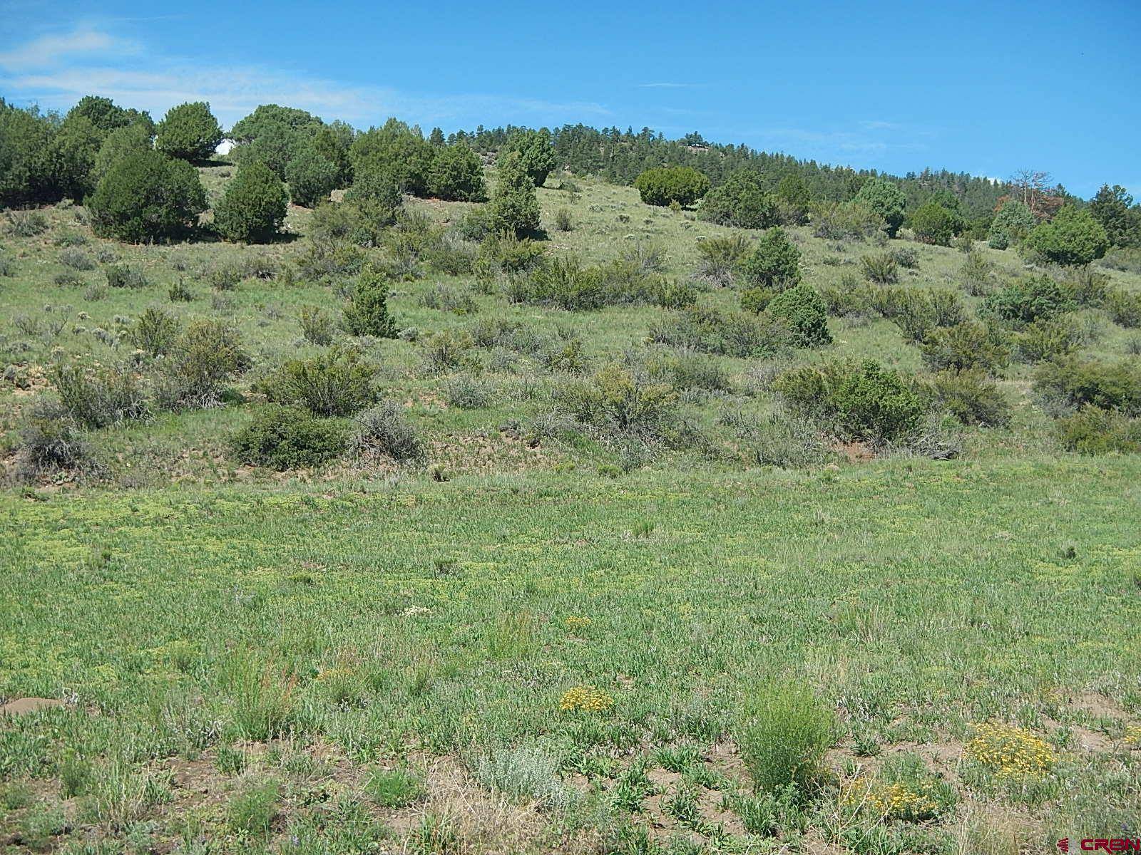 South Fork, CO 81154,727 Bear Creek Circle