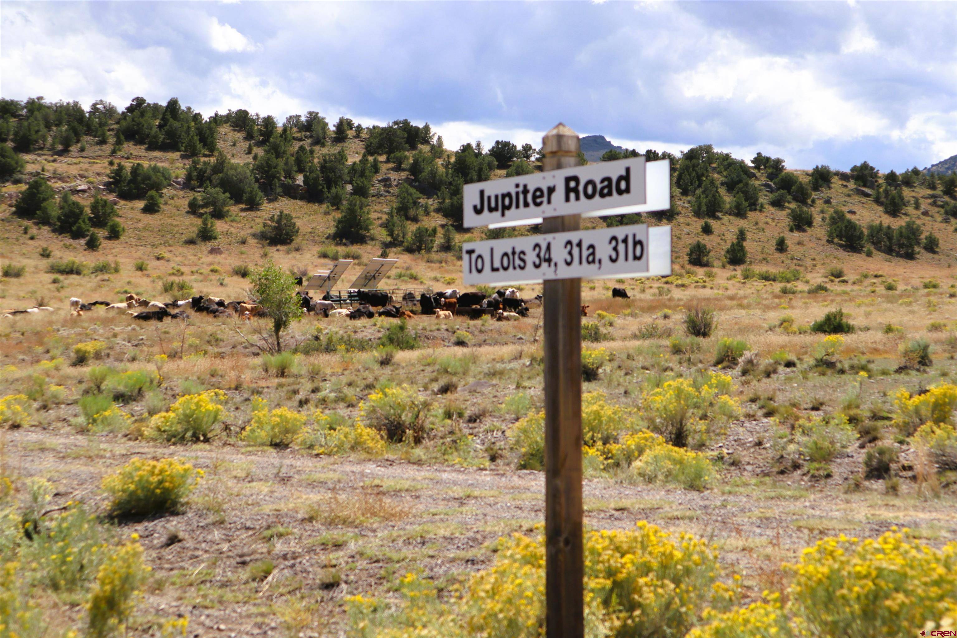 Del Norte, CO 81132,Tract 31a Pronghorn Trail