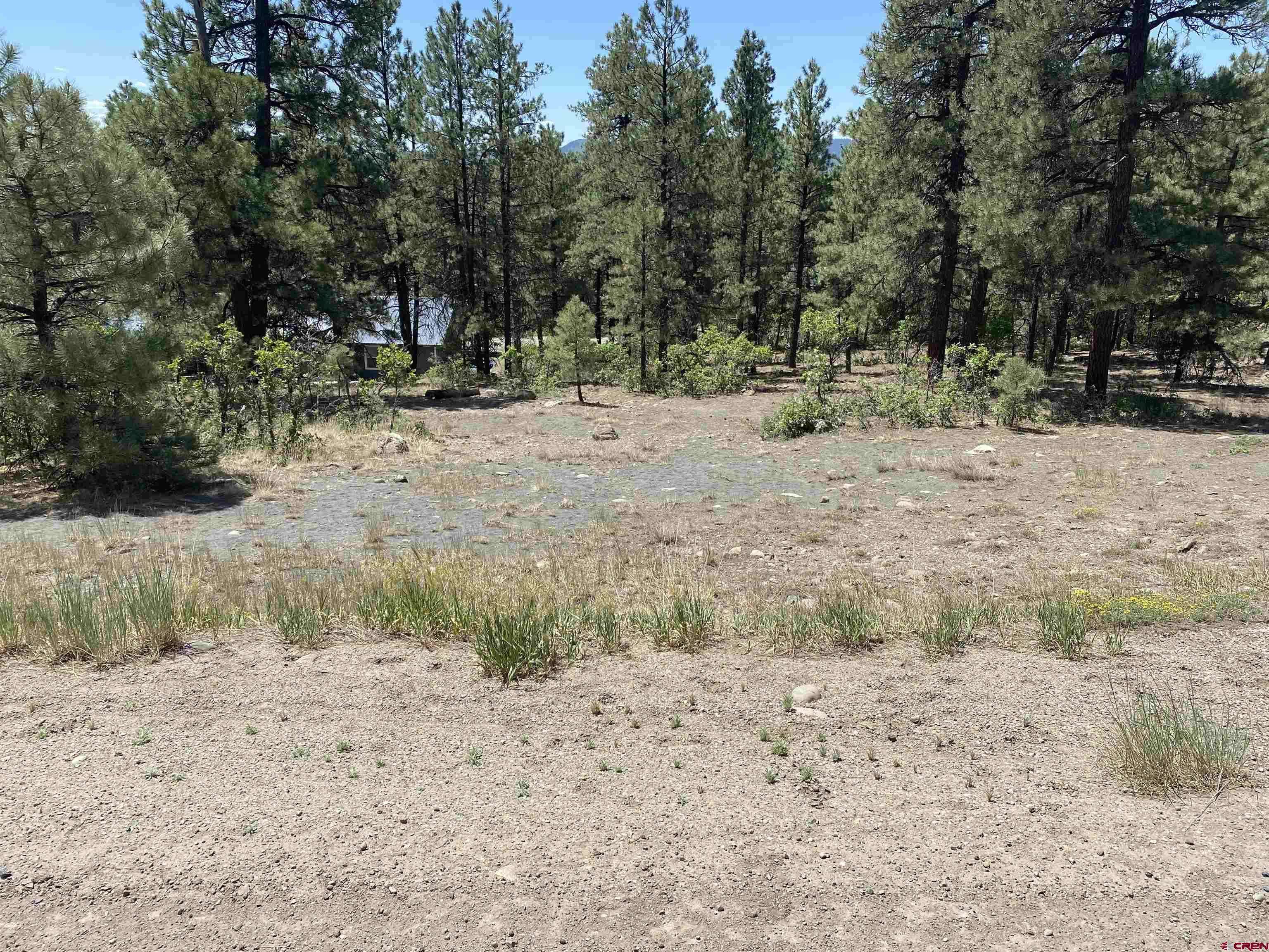 Pagosa Springs, CO 81147,2266 CR 600