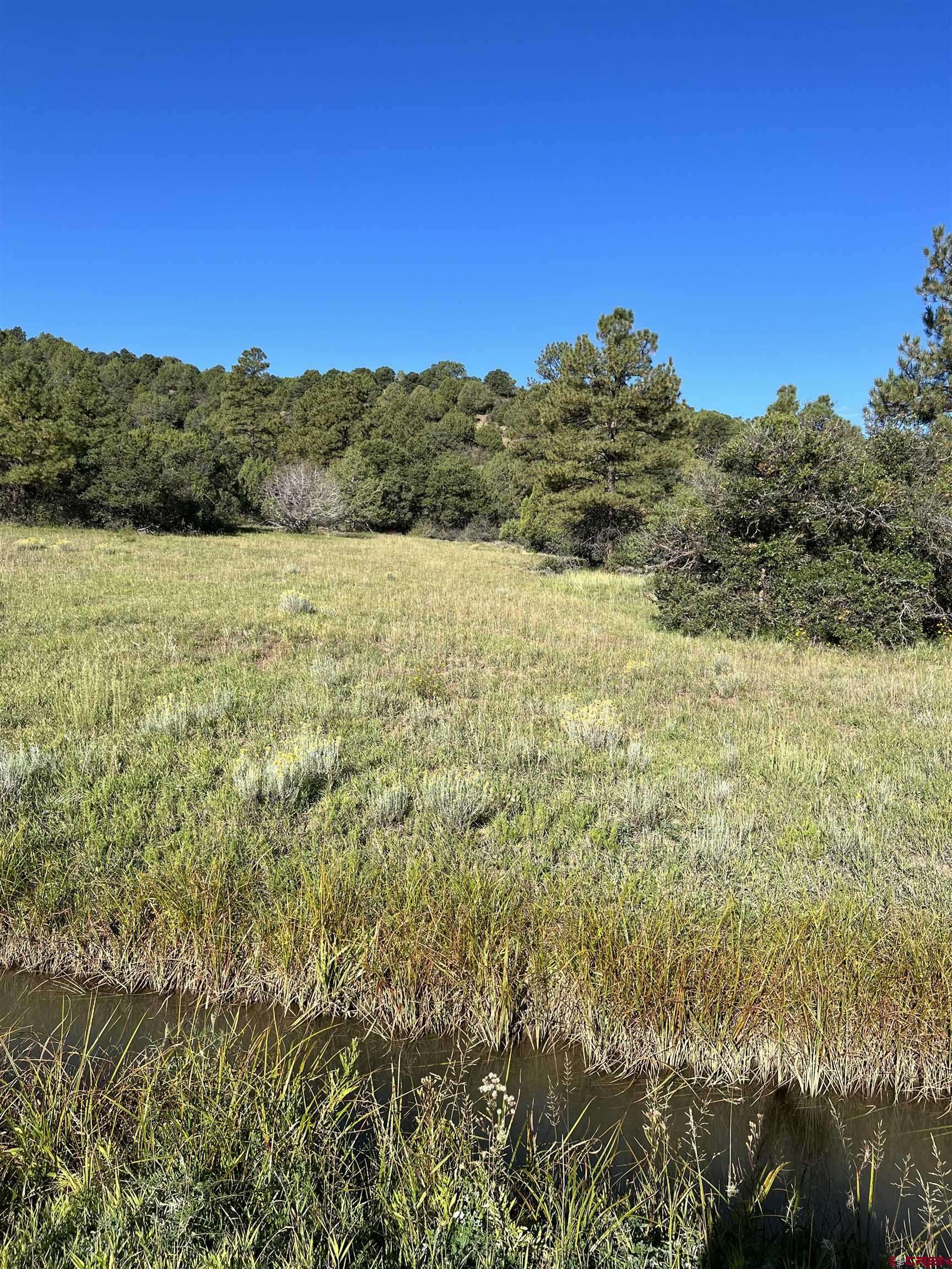 Bayfield, CO 81122,480 Winchester Lane