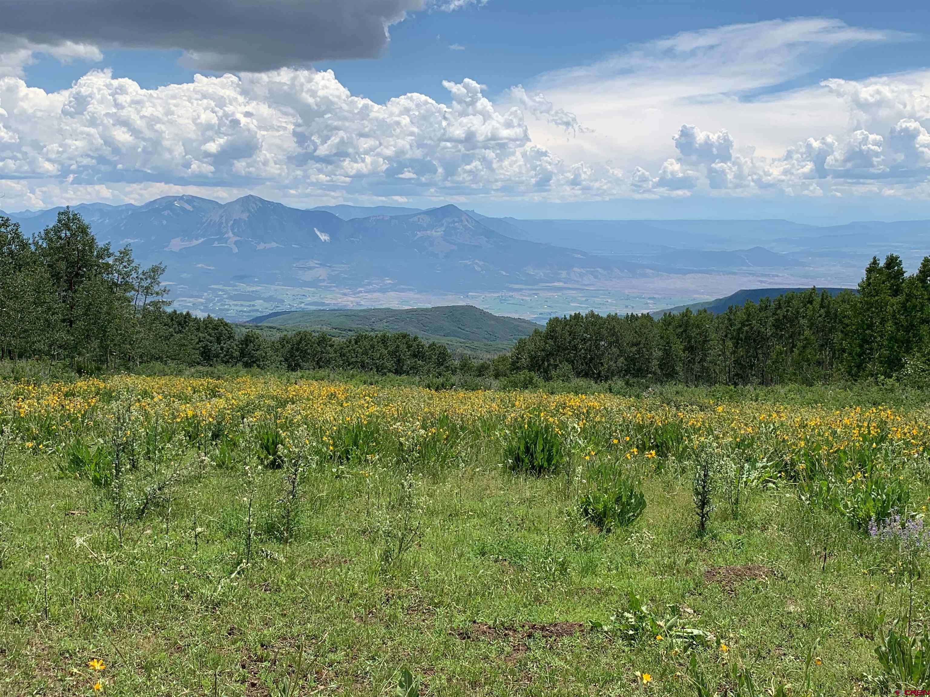 Hotchkiss, CO 81419,128-1 G National Forest road
