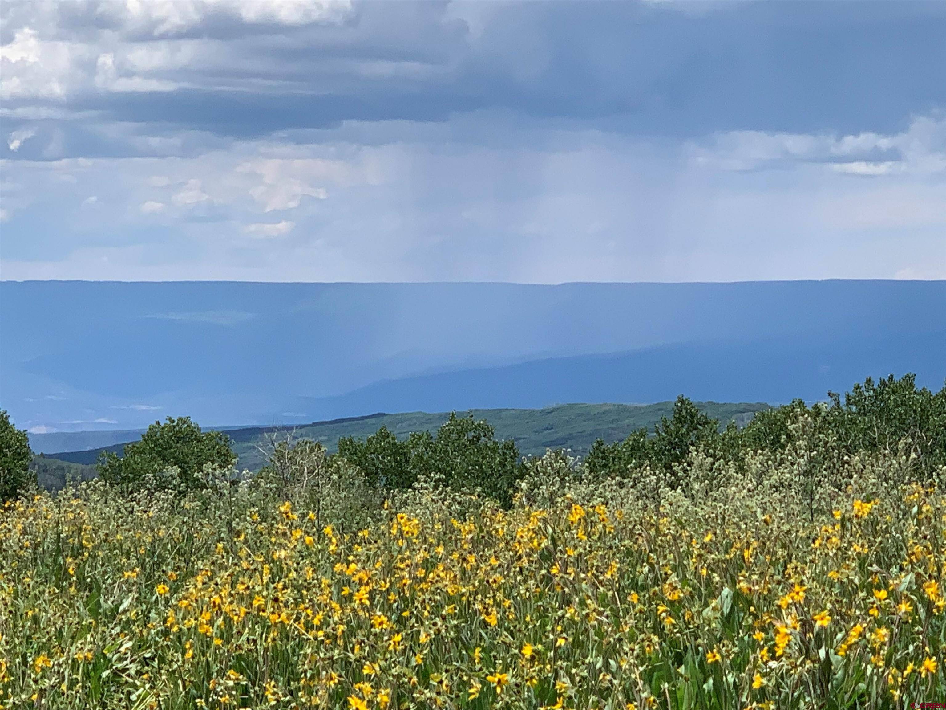Hotchkiss, CO 81419,128-1 G National Forest road