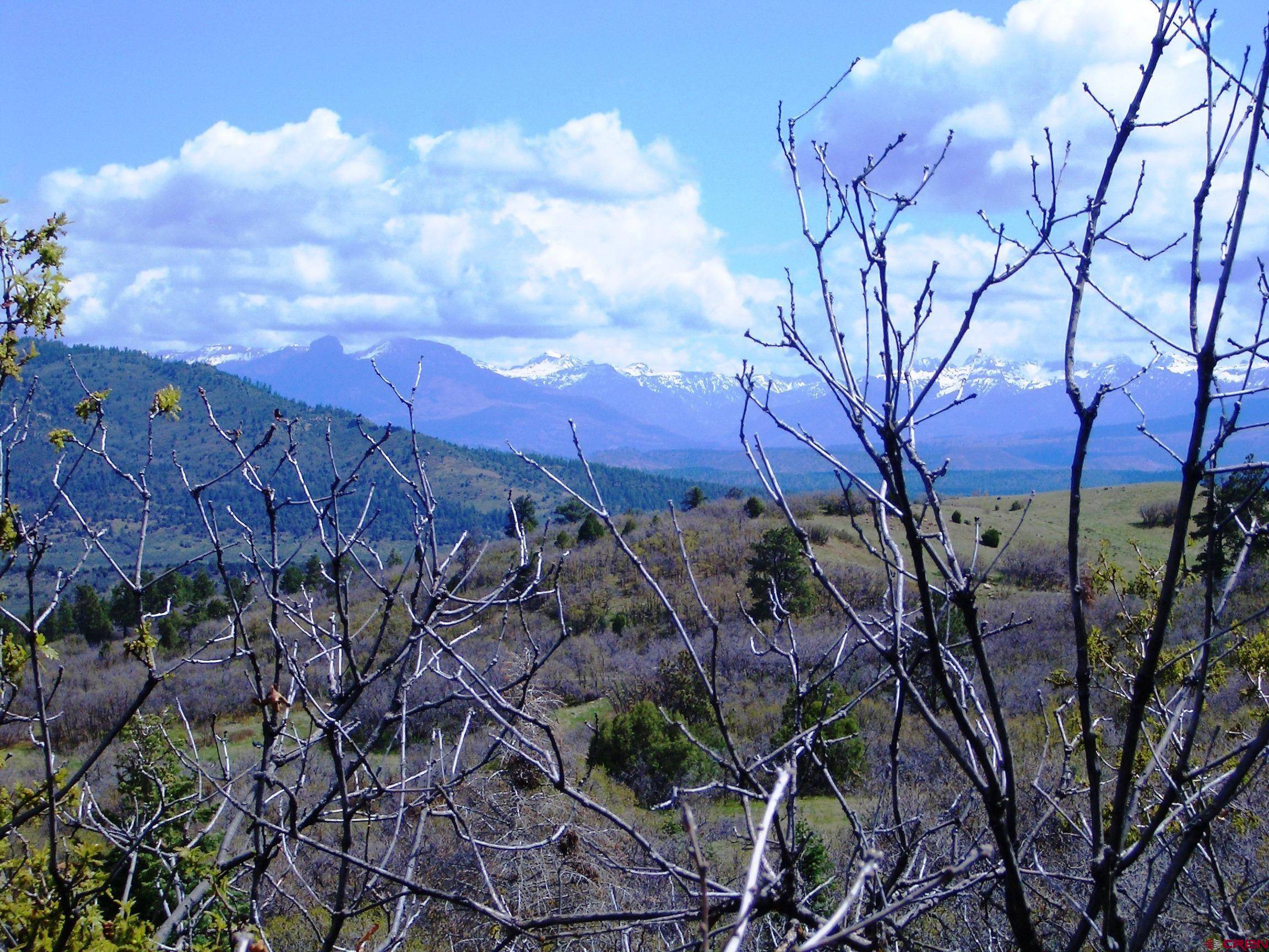 Pagosa Springs, CO 81147,Lot 8B ARCHULETA MESA Place